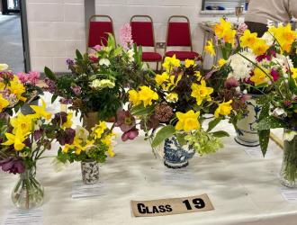 Gardening Club daffodils arrangements