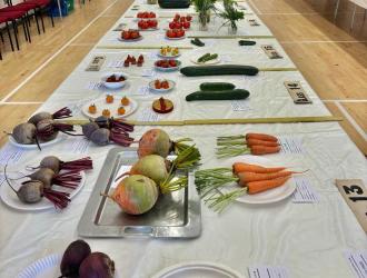 Gardening Club vegetables display